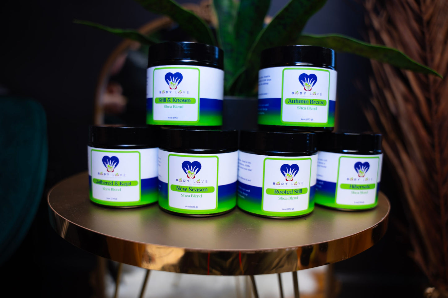 Selah and Surrender Collection - Body