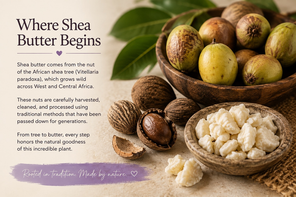What is Shea Butter?