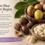 What is Shea Butter?